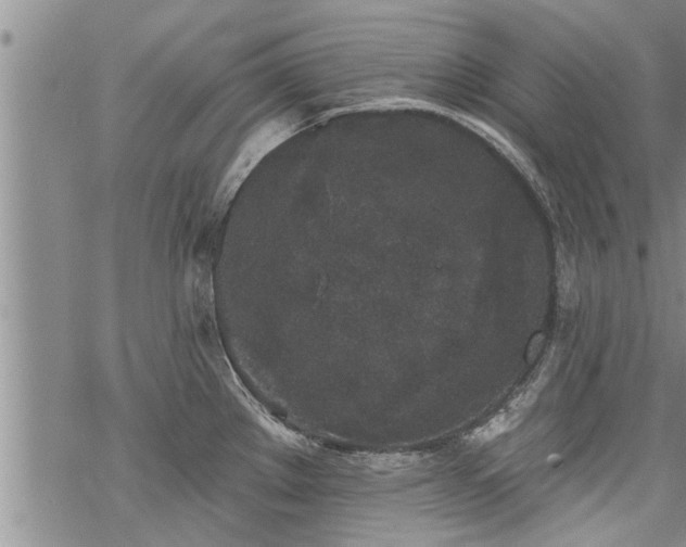 X0000069381289200605192139