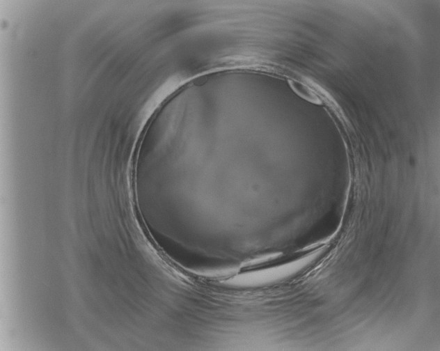 X0000069381291200605192139