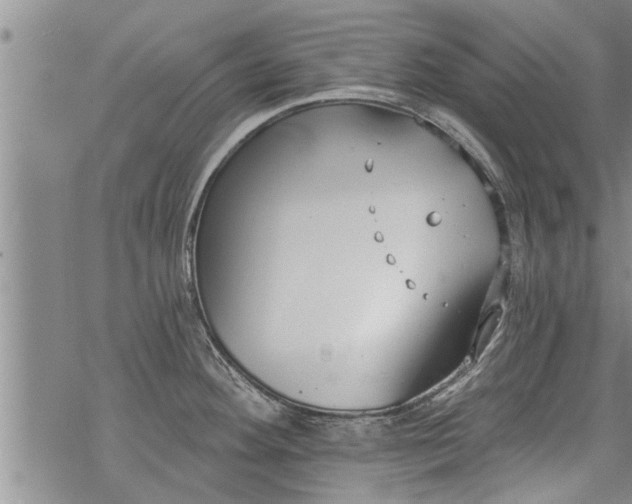 X0000069381292200605192139