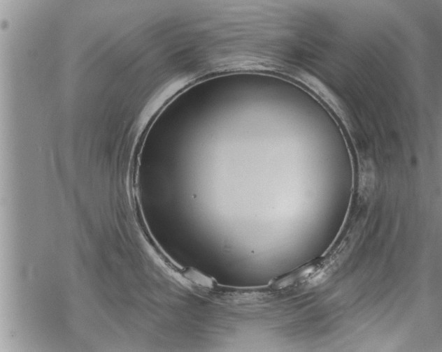 X0000069381293200605192139