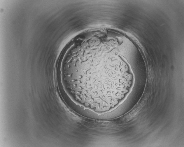 X0000069381295200605192139