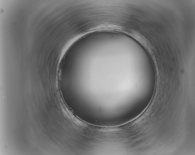 X0000069381296200605192139