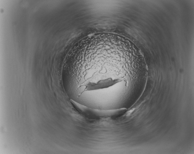 X0000069381297200605192139