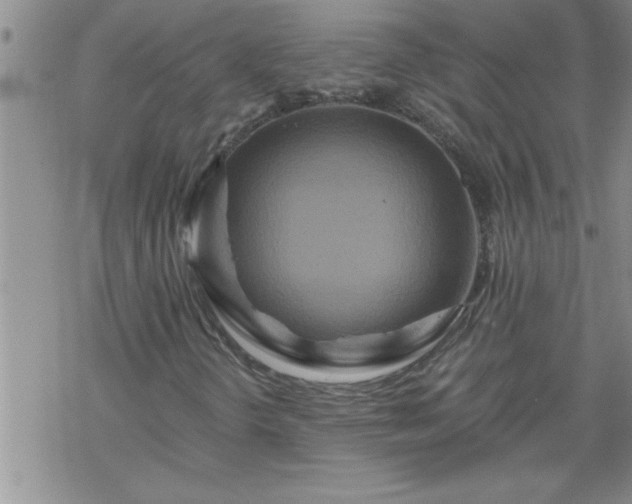 X0000069381298200605192139