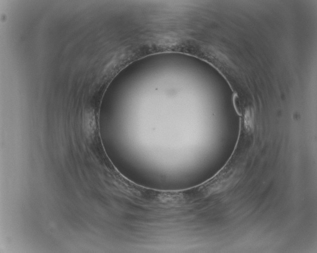 X0000069381299200605192139