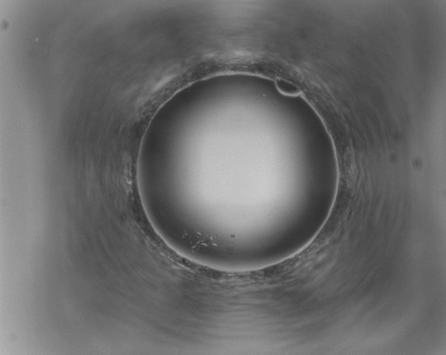 X0000069381301200605192139