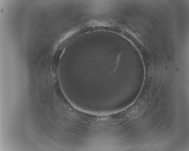 X0000069381303200605192139