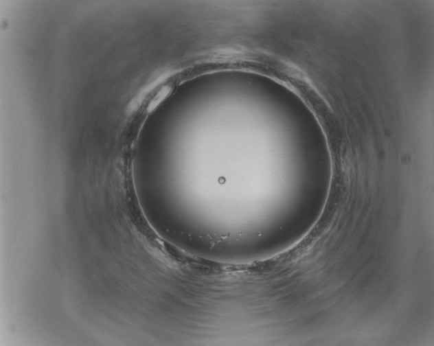 X0000069381304200605192139