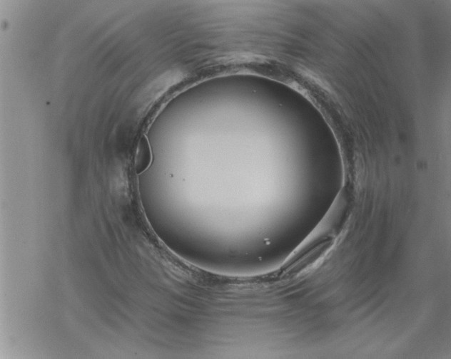 X0000069381305200605192139