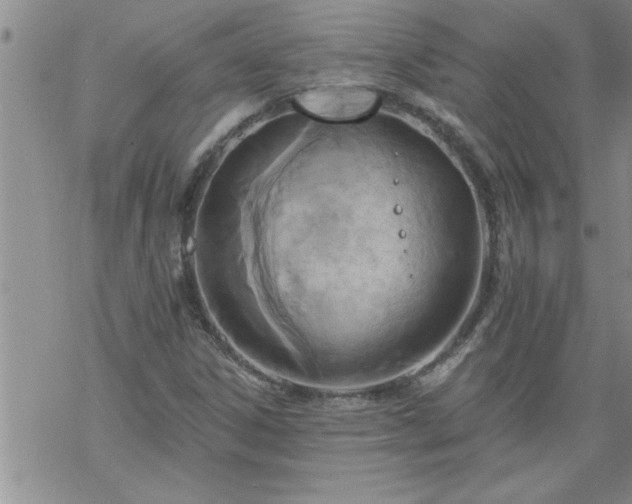 X0000069381306200605192139