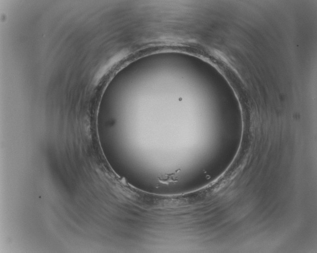 X0000069381307200605192139