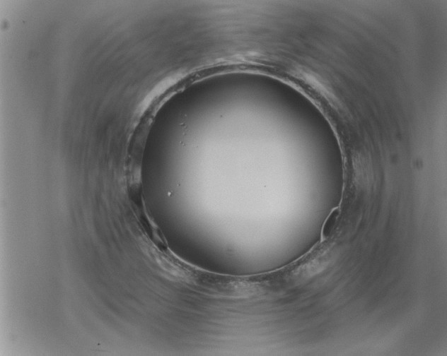 X0000069381308200605192139