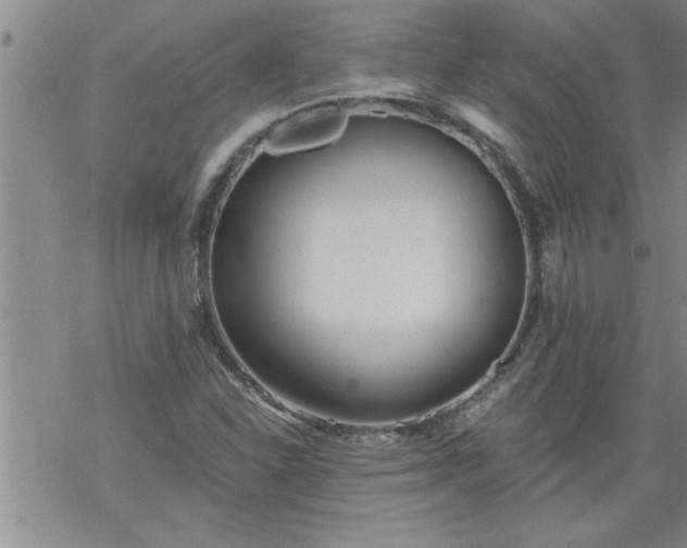 X0000069381310200605192139