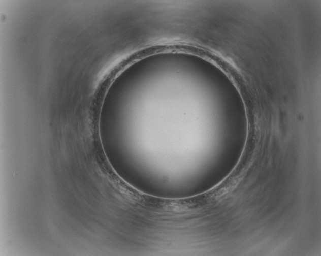 X0000069381311200605192139