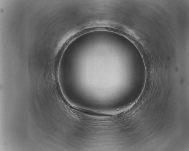 X0000069381312200605192139