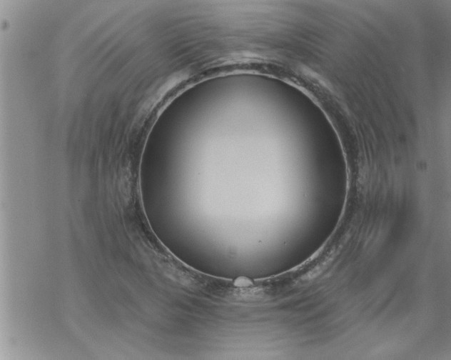 X0000069381313200605192139