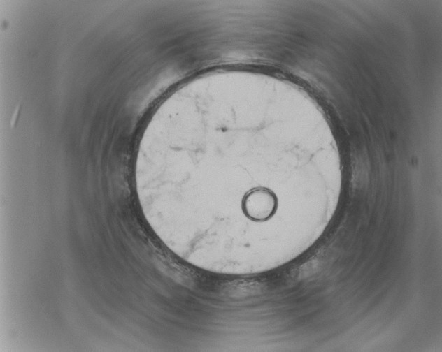 X0000069381314200605192139