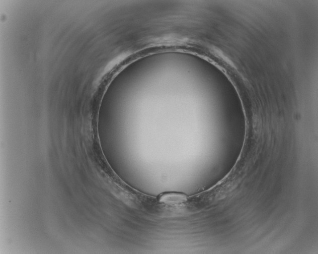 X0000069381315200605192139