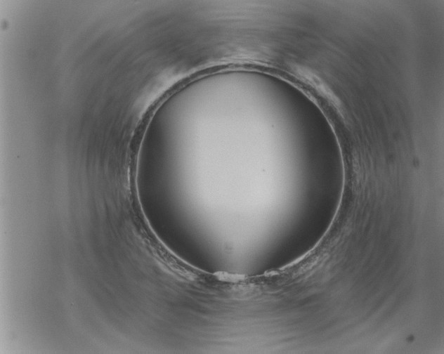 X0000069381316200605192139