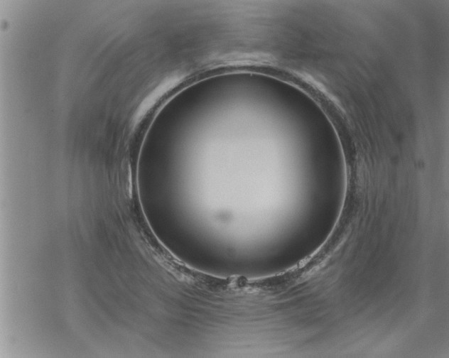 X0000069381317200605192139