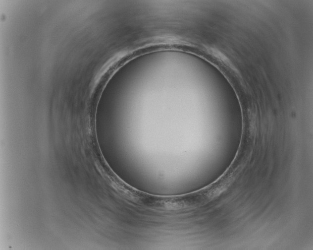 X0000069381318200605192139