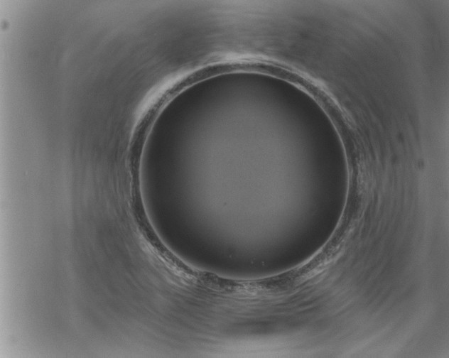 X0000069381319200605192139