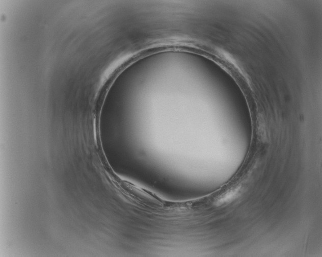 X0000069381320200605192139