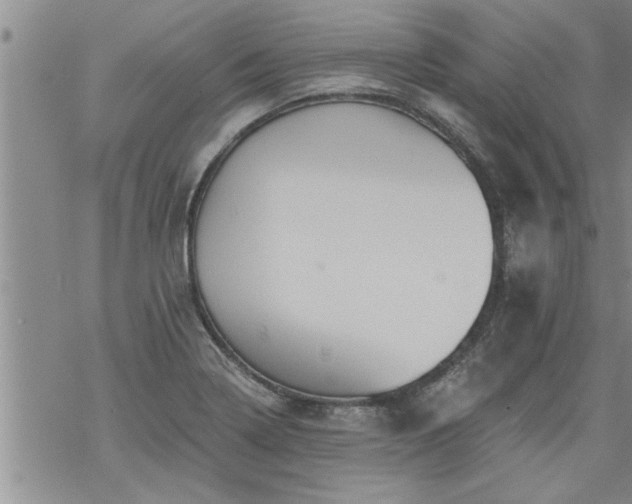 X0000069381322200605192139