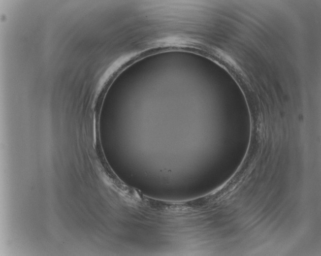 X0000069381323200605192139