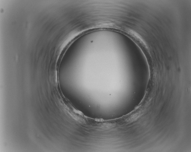 X0000069381324200605192139