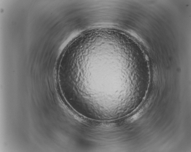 X0000069381325200605192139