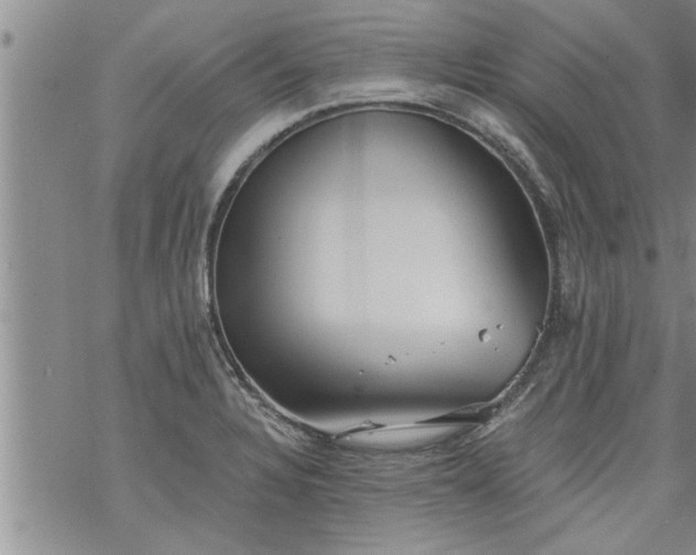 X0000069381328200605192139