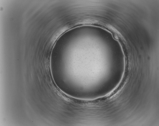 X0000069381329200605192139