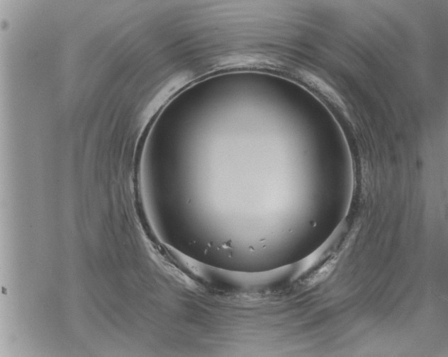 X0000069381330200605192139