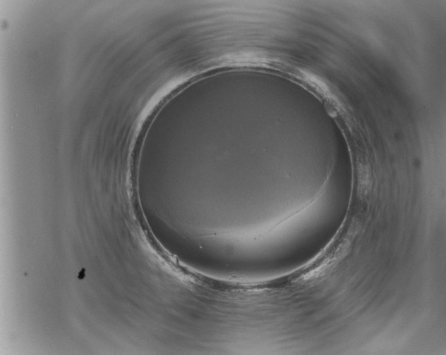 X0000069381331200605192139