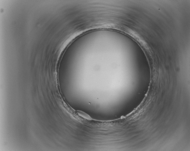 X0000069381332200605192139