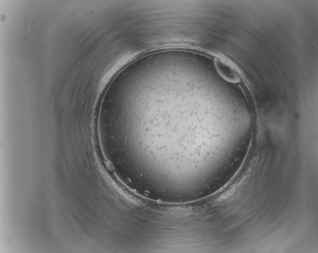 X0000069381333200605192139