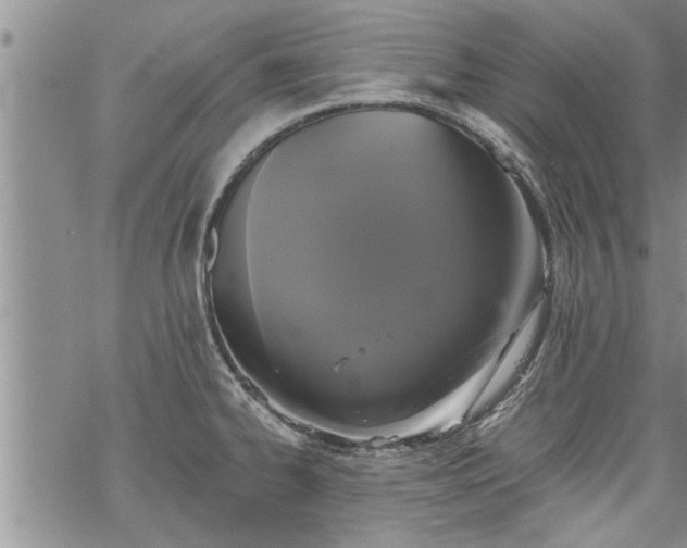 X0000069381334200605192139