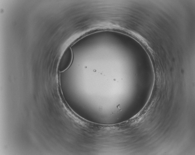 X0000069381335200605192139