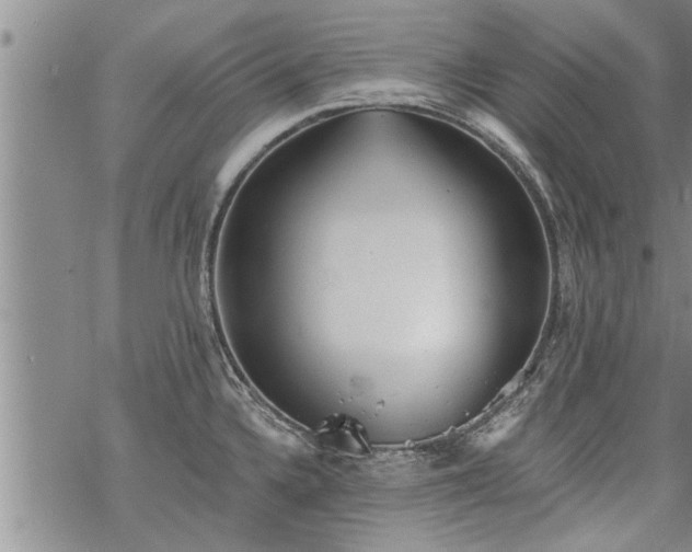 X0000069381336200605192139