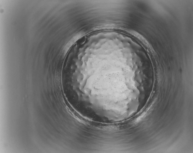 X0000069381337200605192139