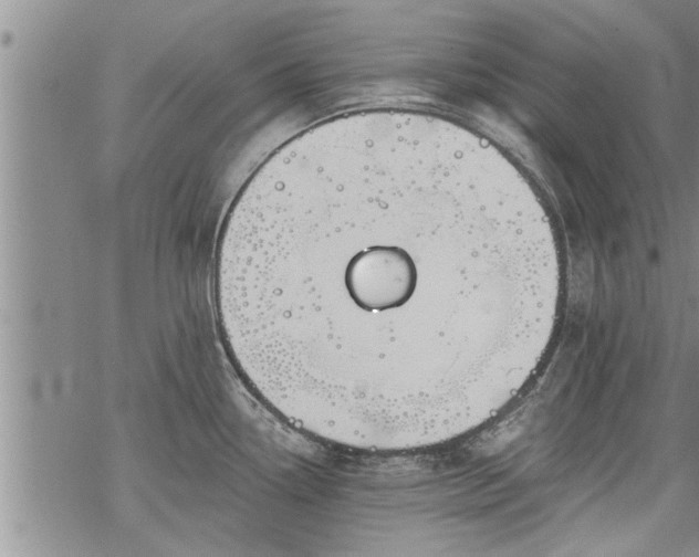 X0000069381338200605192139