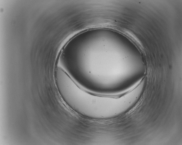 X0000069381340200605192139