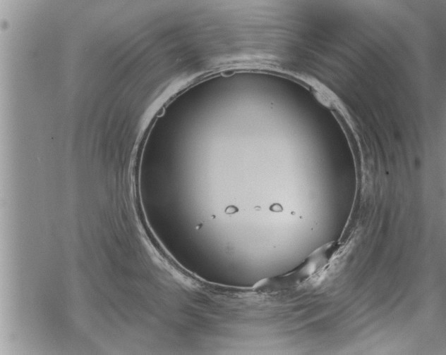 X0000069381341200605192139