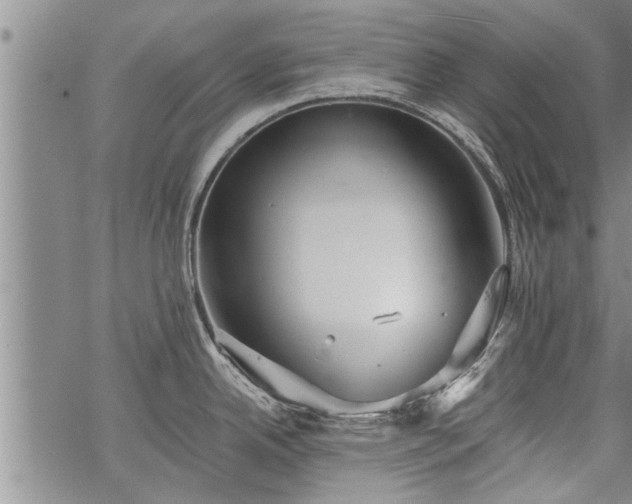 X0000069381342200605192139