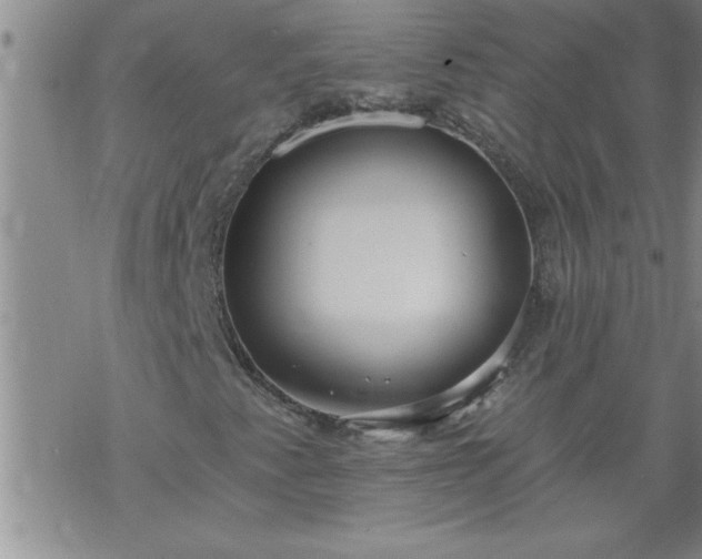 X0000069381345200605192139