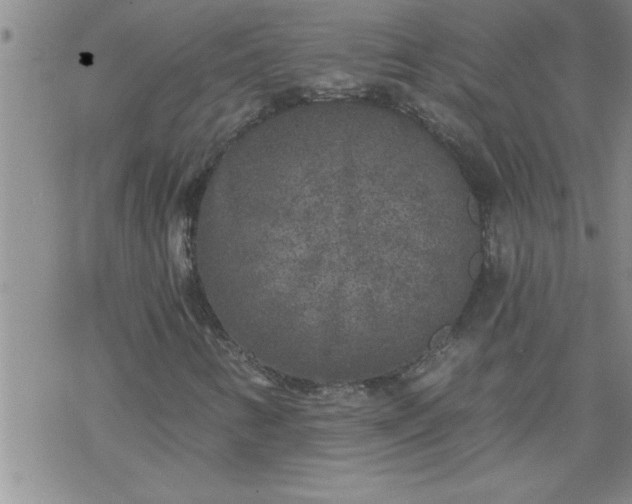 X0000069381346200605192139