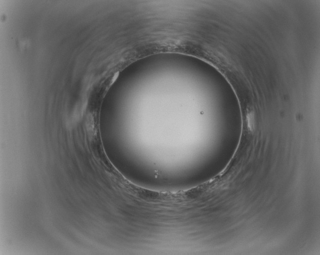 X0000069381347200605192139