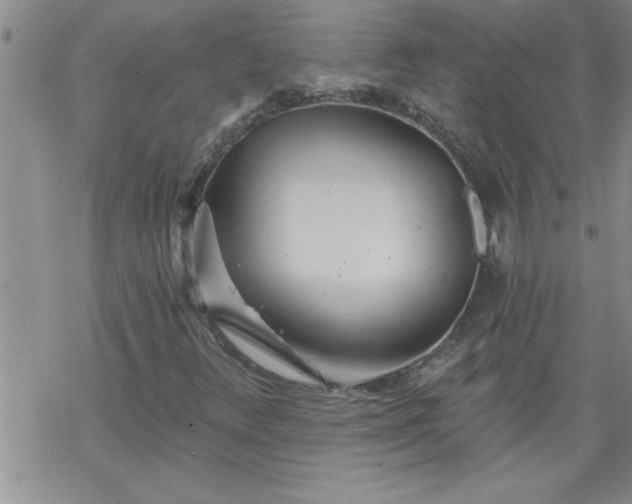 X0000069381348200605192139