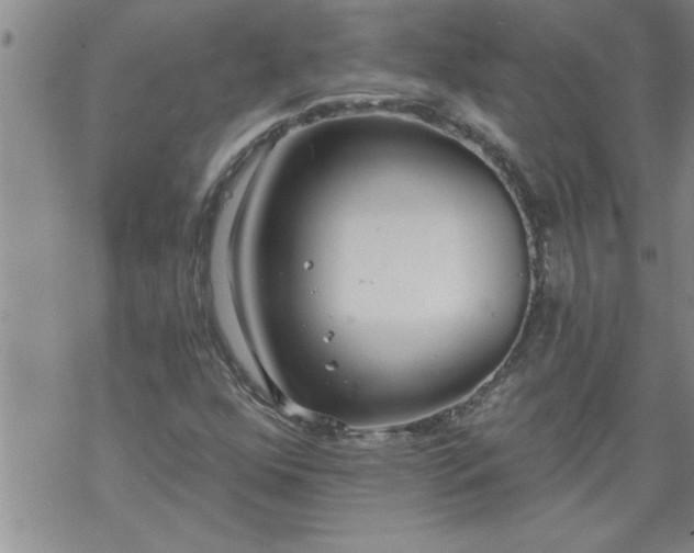 X0000069381352200605192138